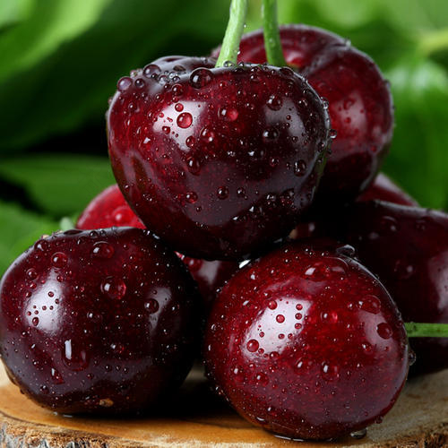 感冒发烧能不能吃车厘子 感冒发烧能不能吃车厘子