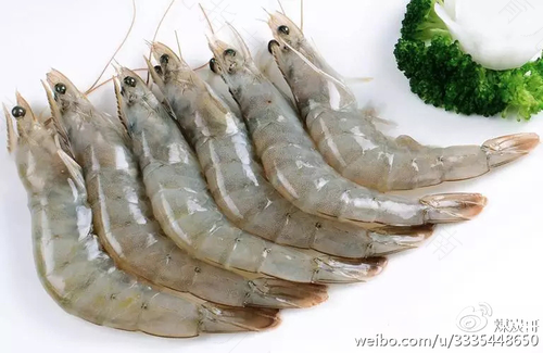 感冒咳嗽能不能吃基围虾 感冒咳嗽能不能吃基围虾