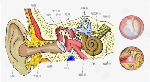 耳朵总耳鸣是怎么回事 耳朵总耳鸣是怎么回事