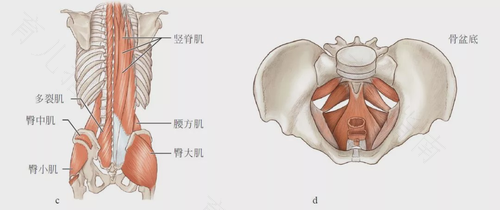 屁股两边骨头疼是怎么回事 屁股两边骨头疼是怎么回事