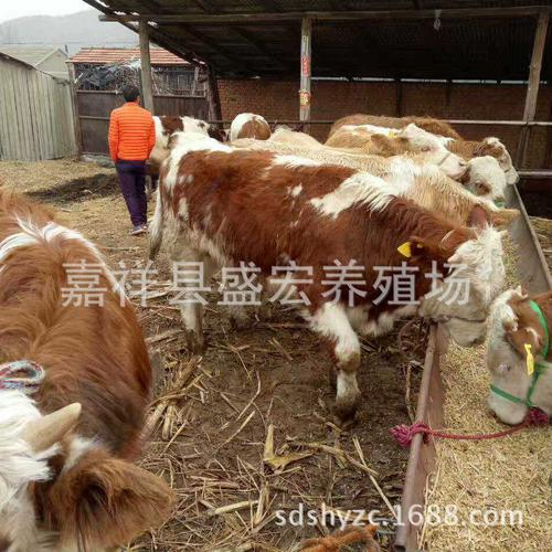 刚做完手术的病人能吃牛肉吗 刚做完手术的病人能吃牛肉吗