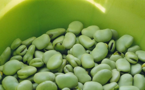 蚕豆病患者误食蚕豆怎么处理 蚕豆病患者误食蚕豆怎么处理