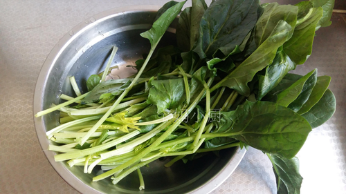 腹泻可以吃菠菜么 腹泻可以吃菠菜么