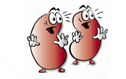 慢性肾炎能治好吗能活多久 慢性肾炎能治好吗能活多久