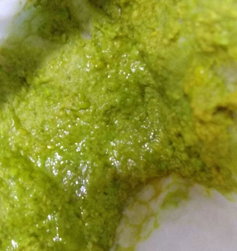 大便深绿色怎么回事啊 大便深绿色怎么回事啊