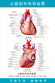 心脏难受挂哪科? 心脏难受挂哪科?