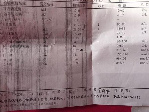 贫血会导致身体发黄吗 贫血会导致身体发黄吗