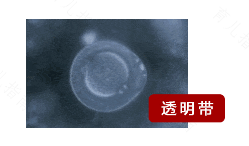 经血发黑是怎么回事?