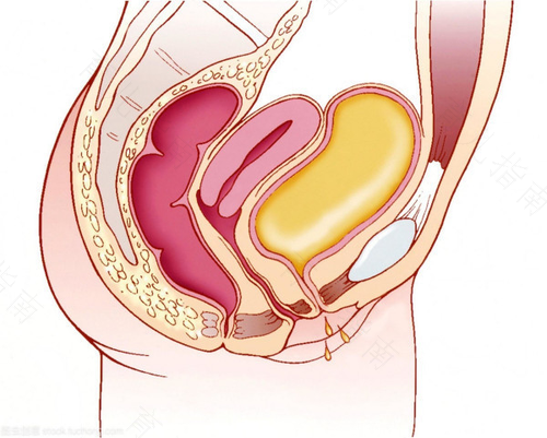 女人尿频是肾不好吗? 女人尿频是肾不好吗?
