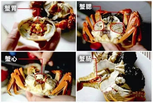 子宫切除后能吃螃蟹吗