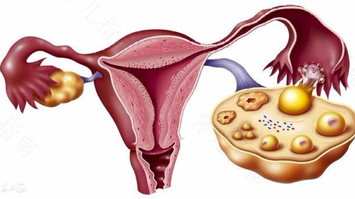 左阴囊有点肿怎么引起的 左阴囊有点肿怎么引起的
