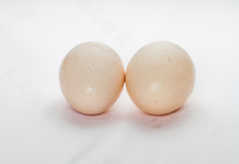 孩子感冒发烧咳嗽能吃鸡蛋吗 孩子感冒发烧咳嗽能吃鸡蛋吗