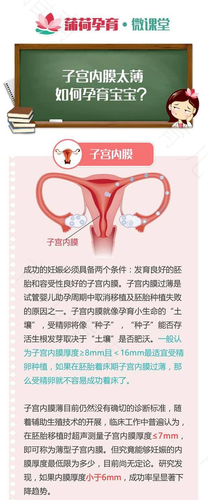 流产后子宫内膜薄怎么调理恢复快一点 流产后子宫内膜薄怎么调理恢复快一点