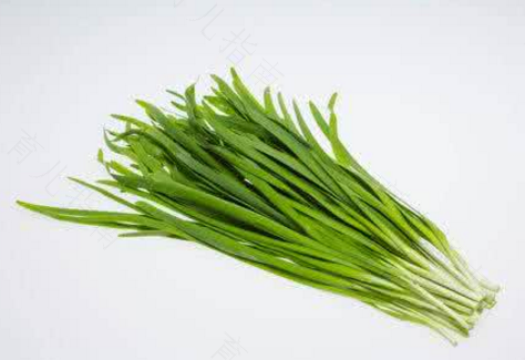 类风湿能不能吃韭菜? 类风湿能不能吃韭菜?