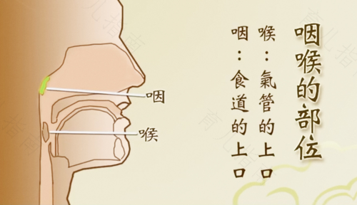 喉咙疼反复发烧怎么办 喉咙疼反复发烧怎么办