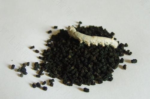 窝出来的屎是黑色为什么 窝出来的屎是黑色为什么