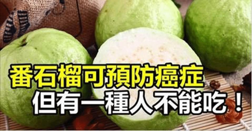 拉肚子能不能吃番石榴? 拉肚子能不能吃番石榴?