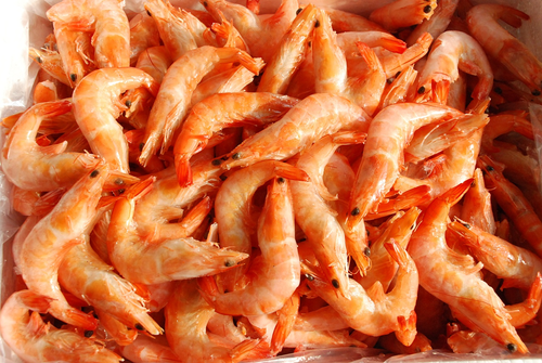 感冒发烧能不能吃虾子