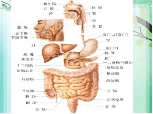 肠闭锁能治好吗 肠闭锁能治好吗