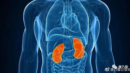 什么是尿毒症前兆怎么调理 什么是尿毒症前兆怎么调理