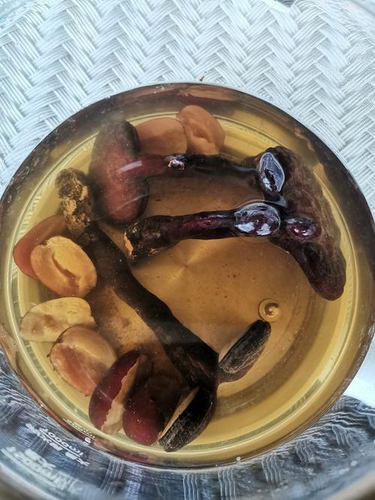 糖尿病人怎么吃灵芝孢子粉 糖尿病人怎么吃灵芝孢子粉