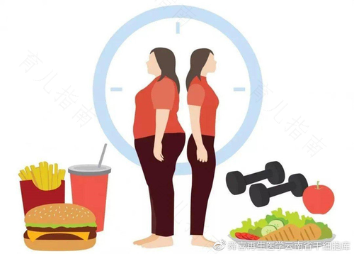 肥胖会导致乙肝吗