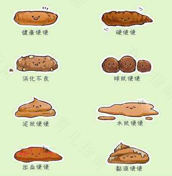 经常不大便怎么办?