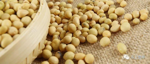 大豆异黄酮绝经了可以吃吗 大豆异黄酮绝经了可以吃吗