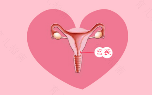 子宫壁薄会引起的症状 子宫壁薄会引起的症状