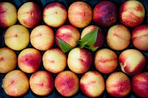 拉肚子能吃油桃嘛