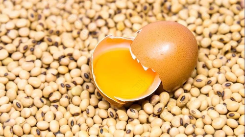 胆囊炎能不能吃鸡蛋白 胆囊炎能不能吃鸡蛋白