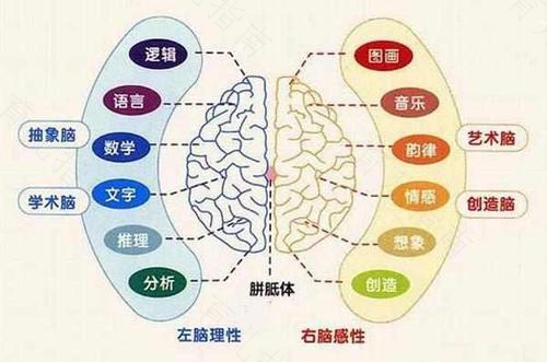 如何激发孩子大脑中主管词汇智能的那部分