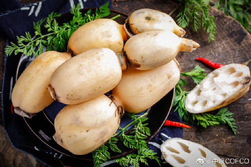 拉肚子能不能吃莲藕汤 拉肚子能不能吃莲藕汤