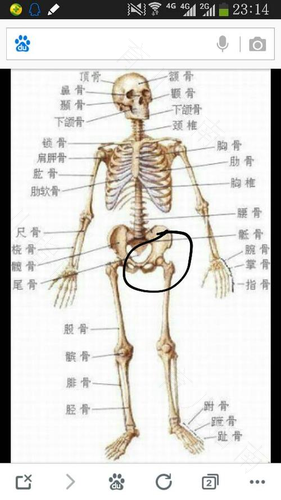 胯骨酸痛是怎么回事女性