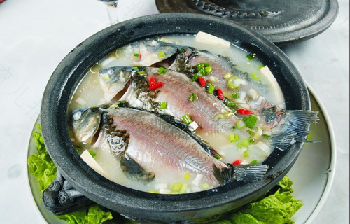 感冒发烧可以吃鱼吗小孩 感冒发烧可以吃鱼吗小孩