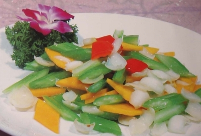 胆汁反流性胃炎吃什么菜好 胆汁反流性胃炎吃什么菜好