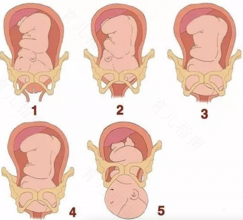 做什么对子宫有伤害 做什么对子宫有伤害