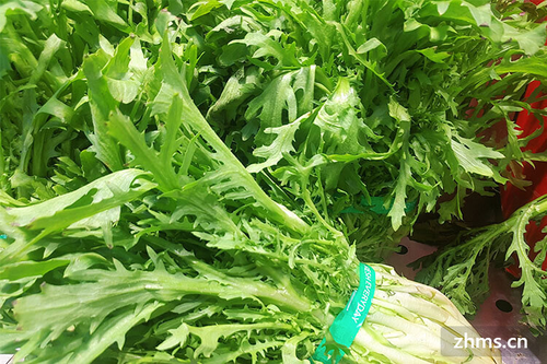 感冒发烧可以吃什么菜好 感冒发烧可以吃什么菜好