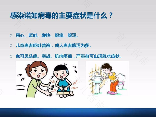 大人得了诺如病毒怎么办 大人得了诺如病毒怎么办