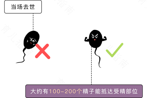 遗精给憋回去怎么办 遗精给憋回去怎么办