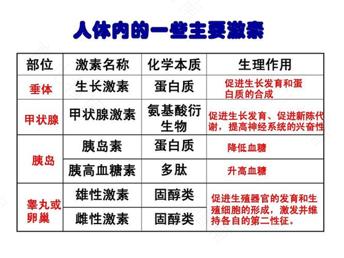 睾酮素是雄性激素吗 睾酮素是雄性激素吗