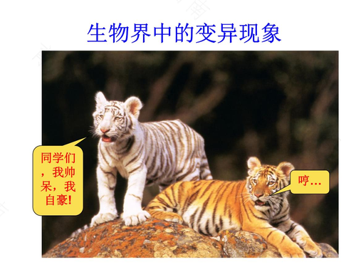 基因突变一般发生在几岁 基因突变一般发生在几岁