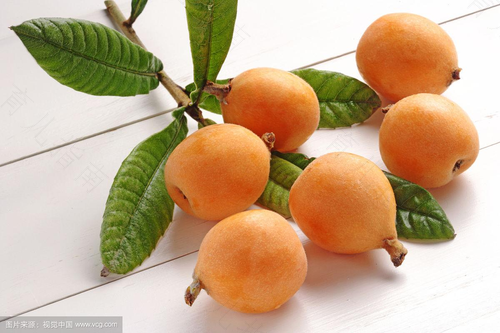 感冒发烧可以吃枇杷吗 感冒发烧可以吃枇杷吗