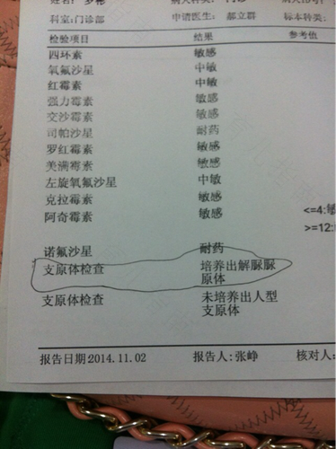 解脲支原体阳性需要治疗吗 解脲支原体阳性需要治疗吗