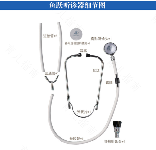 如何使用听诊器听肺部 如何使用听诊器听肺部