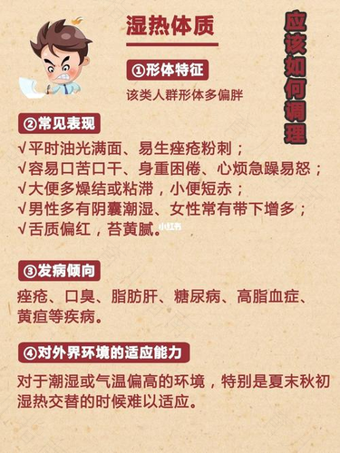 体内湿热怎么解决 体内湿热怎么解决