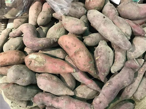 类风湿能不能吃红薯粉 类风湿能不能吃红薯粉