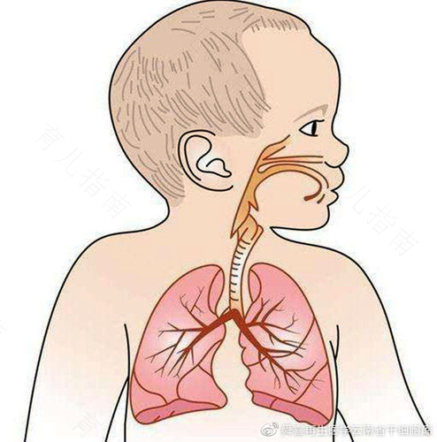 哮喘咳嗽白痰多怎么办 哮喘咳嗽白痰多怎么办