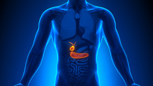 胆囊息肉可以喝茶水吗