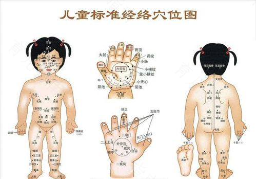 9月宝宝身体机能